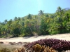 Foto di LUCA CIAFARDONI (Fiji - Yasawa - Waya la spiaggia Liku Liku Bay 2)
