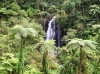 Foto di LUCA CIAFARDONI (Fiji - Taveuni - Bouma National Heritage Park 3)