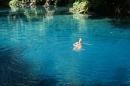 Foto di LUCA CIAFARDONI (Espiritu Santo - Ri Ri river blu hole) 2