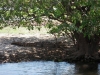 Foto di LUCA CIAFARDONI (Kakadu National Park) 4